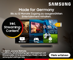 SEG_VSX_MfG_Promo_HY2_2026_Onlinebanner_300x250px